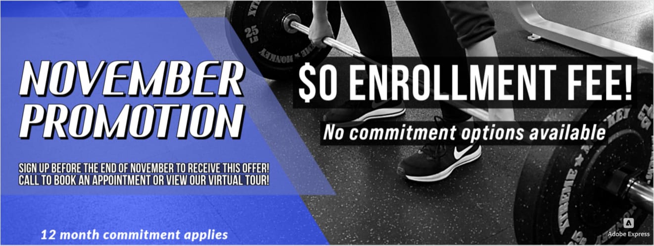 October 2024 Homepage banner